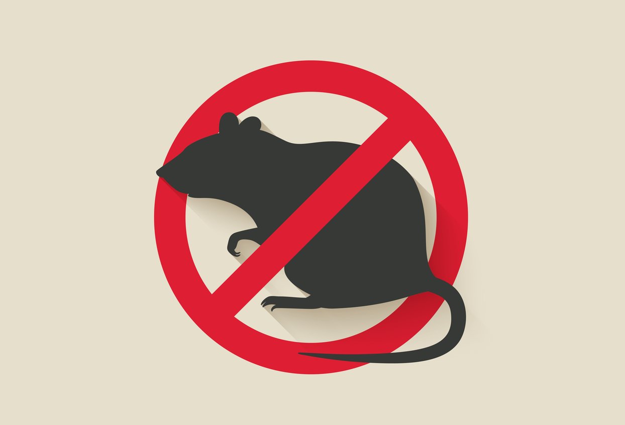 Rodent control